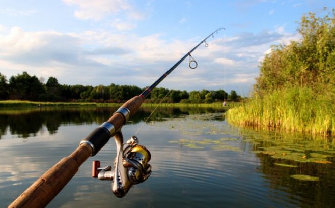 Рыбалка: нужно ли прятать кончик крючка в наживке