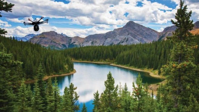 Как в Канаде дроны садят лес в 10 раз быстрее, чем люди с лопатами