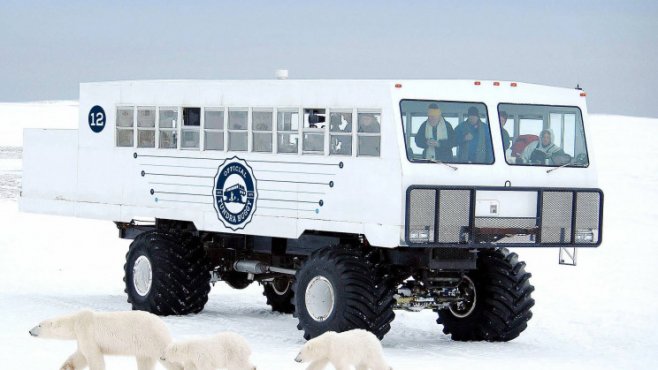 Электромобиль Tundra Buggy готов отвезти вас к белым медведям